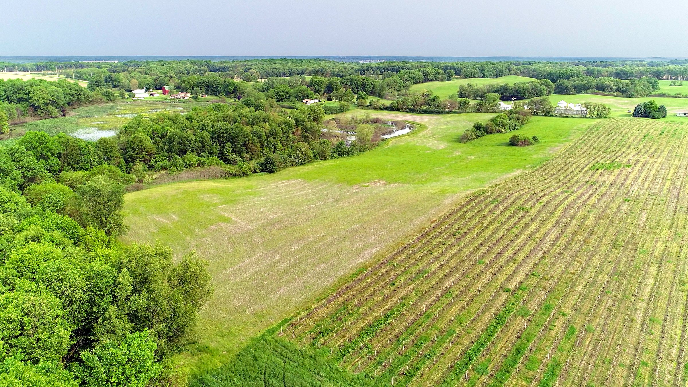 Van Buren County, Michigan farmland - LAND AUCTION - 194+/- ACRES OFFERED IN 5 TRACTS IN VAN BUREN COUNTY, MICHIGAN
